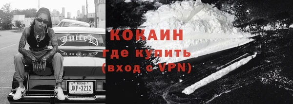 ПСИЛОЦИБИНОВЫЕ ГРИБЫ Рославль