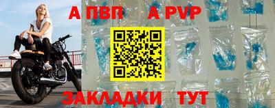 скорость Кингисепп