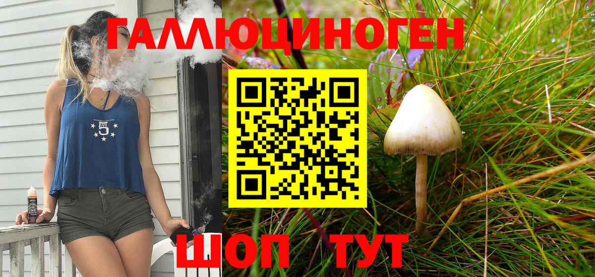 Псилоцибиновые грибы Cubensis  Вход с VPN  Галлюциногенные грибы GOLDEN TEACHER  Магадан 